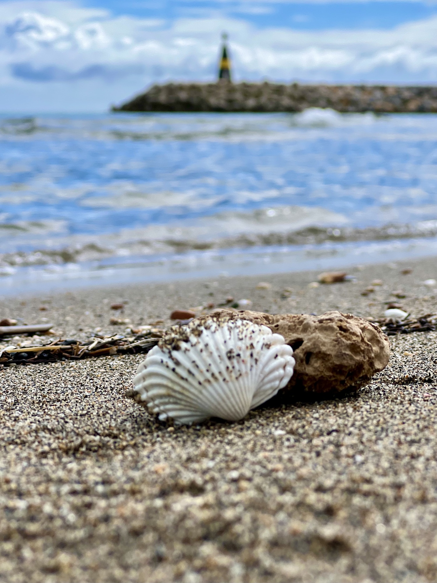 CPS REISEN | Andalusien 2025 | Reisebericht |