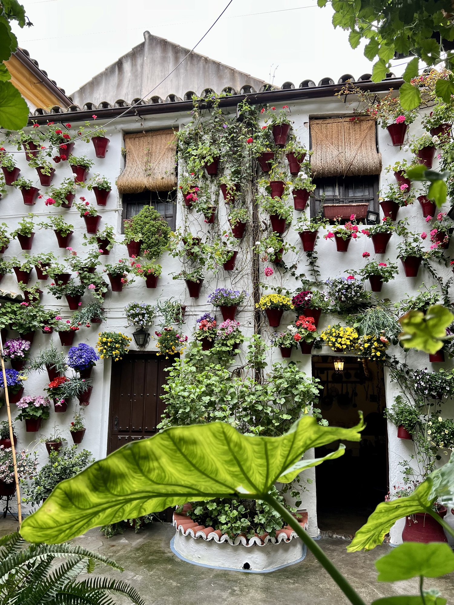 CPS REISEN | Andalusien 2025 | Reisebericht |