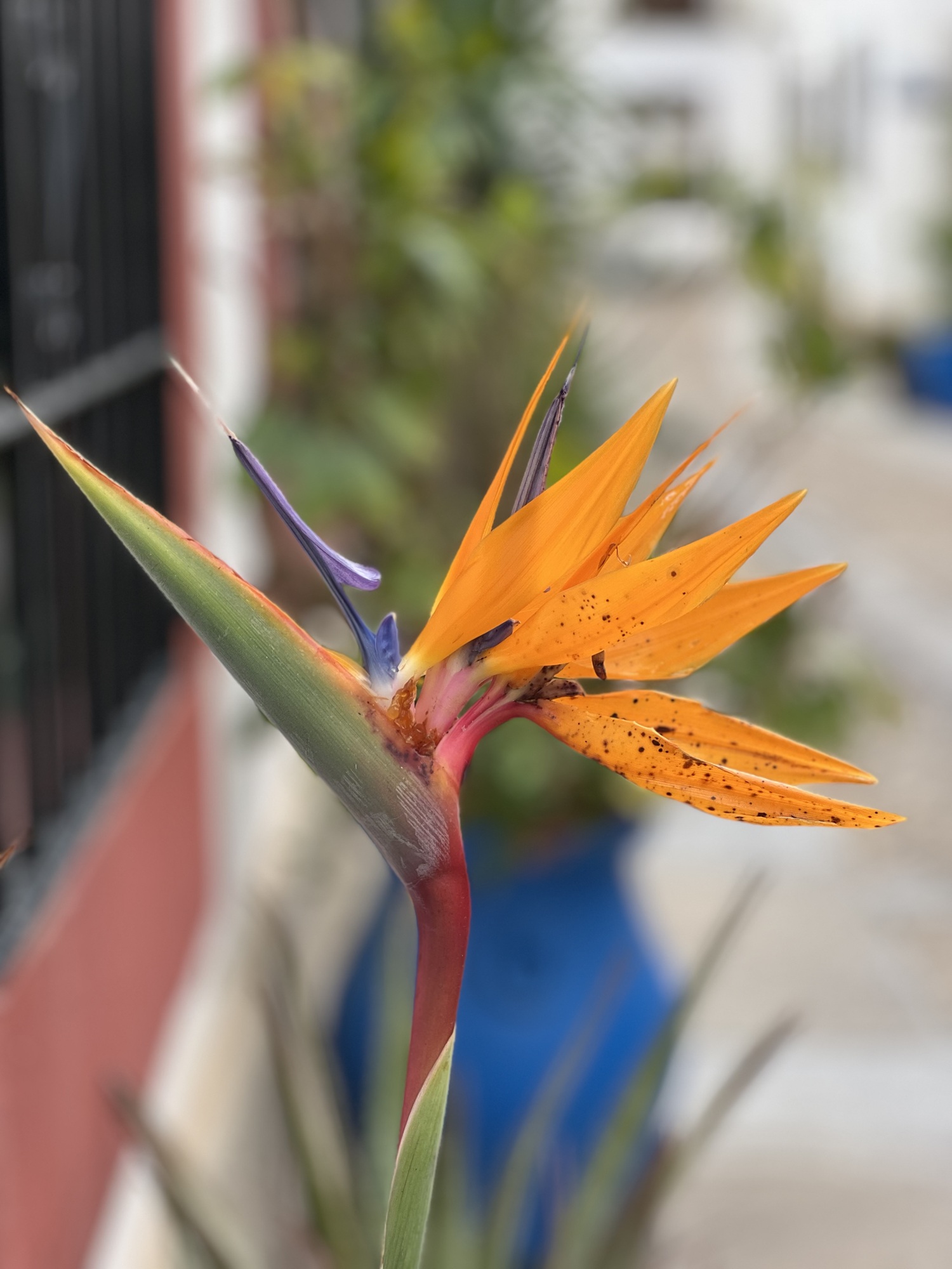 CPS REISEN | Andalusien 2025 | Reisebericht |