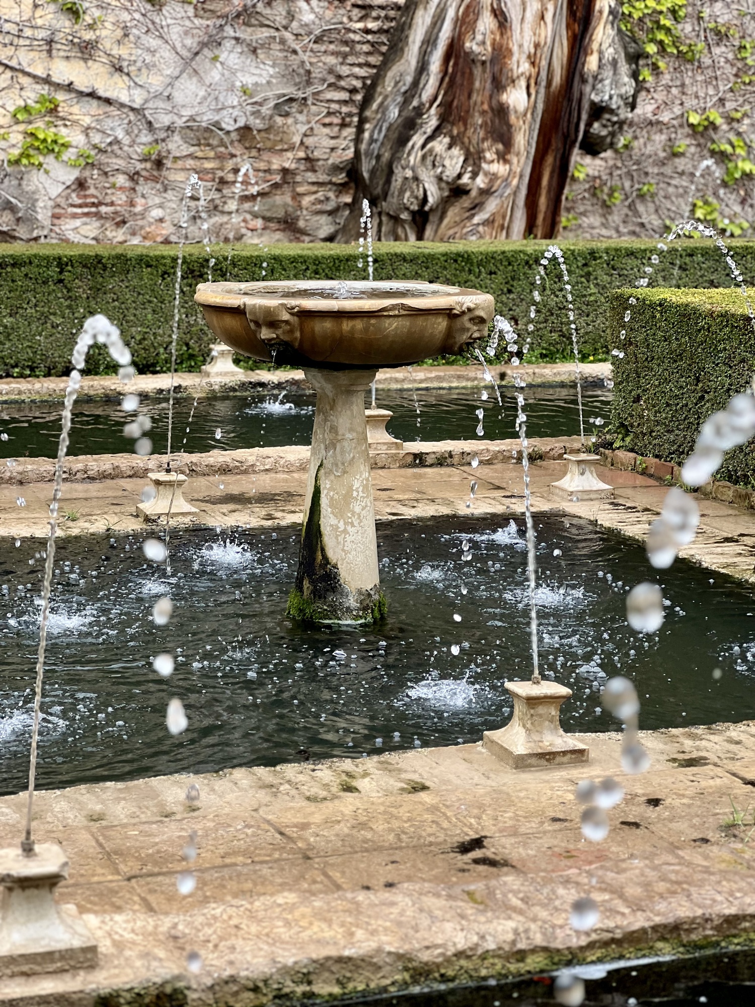 CPS REISEN | Andalusien 2025 | Reisebericht |