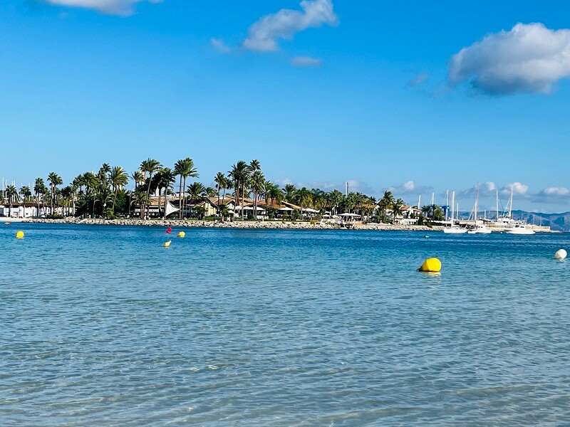 Port d‘Alcúdia - Blick auf die Küste mit vielen Palmen, blaues Wasser mit gelben Bojen